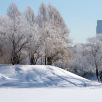 Зима в городе. :: Владимир Безбородов