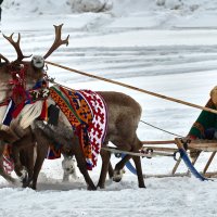 Тройка :: Игорь Шабалин