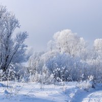 Такая зима :: Владимир Звягин