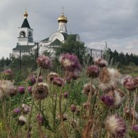 Маковки церкви :: Андрей Хлопонин