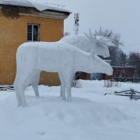 Лоси. :: Радмир Арсеньев