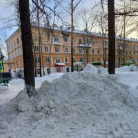 Борьба со снегом :: Алевтина 