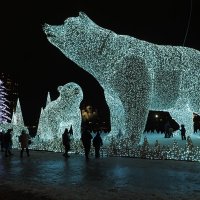 "Белые медведи" в Ростокино (световая инсталляция) :: Евгений Седов