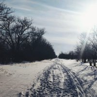 Зимняя дорожка,убегает... :: Андрей Хлопонин
