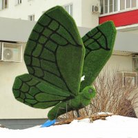Бабочка на снегу :: Андрей Снегерёв