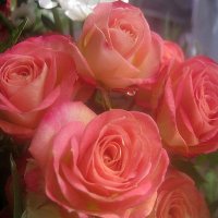 Розы к празднику :: Елена Семигина