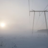 Электрические монстры в тумане :: Ирина Полунина