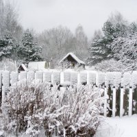 Снежный февраль :: Юрий Пучков