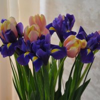 Цветы для женщин к 8 марта :: Татьяна Машошина
