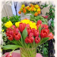 Букет тюльпанов для женщин! :: Лия ☼