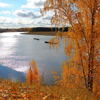 Осень :: tamara kremleva