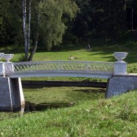 Чугунный мостик в Павловском парке. :: Ирина ***