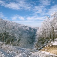 Пейзаж с зимней дорожкой :: M Marikfoto