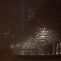 Туманной ночью :: Андрей Николаевич Незнанов