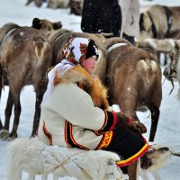 Оленеводочка. :: Лариса Красноперова