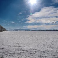 Полуденный снег :: M Marikfoto