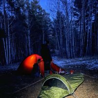 Ночь,в лесу :: Георгиевич 