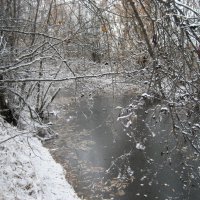 Первый снег :: Anna Ivanova