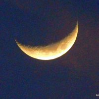 Убывающая луна. :: Валерьян 