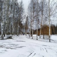По свежему снегу... :: Мария Васильева
