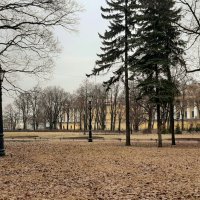 Александровский сад :: Наталья Герасимова