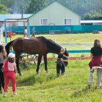 Дети и конь :: Сергей Шаврин