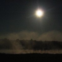 Туман над рекой Полонка :: Артем 