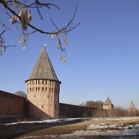 Смоленская крепость в марте :: Тарас Золотько
