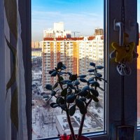 Вид из окна :: Oleg4618 Шутченко