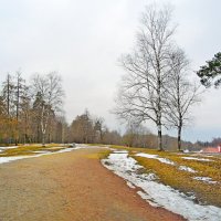 Аллеи Приоратского парка. :: Лия ☼