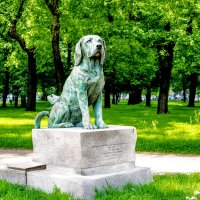 Памятник собаке :: Юрий Гайворонский