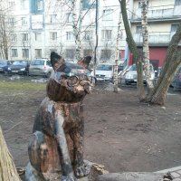 Ученый кот в одном из двориков Петербурга. :: Ольга 