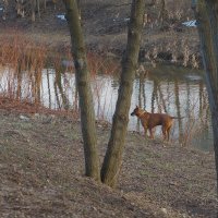 У Тихой Воды :: юрий поляков