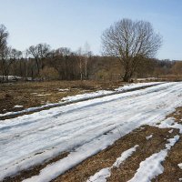 Последний снег в долине Протвы :: Сергей Курников