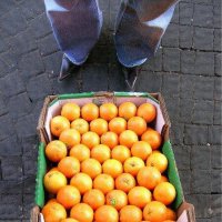 Любовь к трем апельсинам :: Helmut Levitt