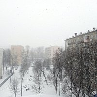 Снегопад. :: Владимир Драгунский
