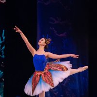 Красота балета :: Николай Чекалин