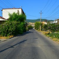 Дербент, Аллея улицы Таги-Заде. :: Пётр Чернега