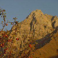 ВЕЧЕР В ГОРАХ. :: Виктор Осипчук