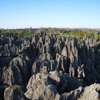Каменный лес Цинги-де-Бемараха, Мадагаскар. :: unix (Илья Утропов)
