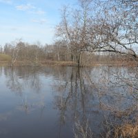 Разлив на озере :: Андрей Зайцев