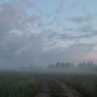 На заре я выйду в туман...... :: Юрий Цыплятников