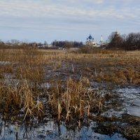 Весна :: Дмитрий Близнюченко