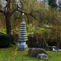 Апрель в Японском саду Кадриорга :: Aida10 