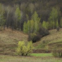 Весна :: Pavel Blashkin
