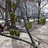 Ранняя весна в Мценске. :: Владимир Драгунский