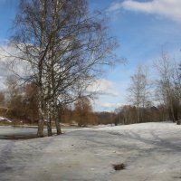 Весенний Павловск :: Наталья Герасимова