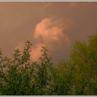 Перед дождём небо хмурится. :: Владимир Попов