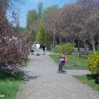 В ростовском зоопарке :: Нина Бутко