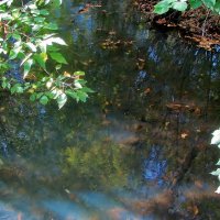 .. маленькая речка Ичка , питающая Джамгаровские пруды.. :: galalog galalog